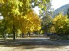 Fall at the State Park near Chelan, Washington