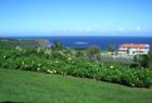 oceanviews from Hale Pili Way in Peahi Haiku 