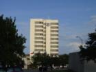 College Station Hilton and Flags