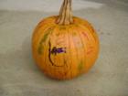 The Bradbury Team from Coldwell Banker Heritage donated a pumpkin to every family in Spinnerstown Crossing for the annual pumpkin decorating contest.  Here are some of the winners.  www.bradburyteam.com