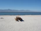 Saton City, Ca the Salton Sea from the North Shore