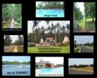 Cypress River Plantation - Pam Guthrie - Seaside Realty - Always Mobile (843)446-3444