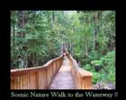 Cypress River Plantation - Walkway Leading to River - Pam Guthrie - Seaside Realty - Always Mobile (843)446-3444