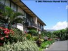 Hono Kai Maalaea, Maui Hawaii <a href="http://www.garybland.com">http://www.garybland.com</a>
      
      <a href=" http://www.realestatemaui.us">Visit my Maui Real Estate weblog.</a>
      