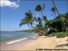 Hono Kai Maalaea, Maui Hawaii <a href="http://www.garybland.com">http://www.garybland.com</a>
      
      <a href=" http://www.realestatemaui.us">Visit my Maui Real Estate weblog.</a>
      