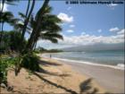 Hono Kai Maalaea, Maui Hawaii <a href="http://www.garybland.com">http://www.garybland.com</a>
      
      <a href=" http://www.realestatemaui.us">Visit my Maui Real Estate weblog.</a>
      