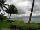 Island Sands Maalaea, Maui Hawaii <a href="http://www.garybland.com">http://www.garybland.com</a>
      
      <a href=" http://www.realestatemaui.us">Visit my Maui Real Estate weblog.</a>
      