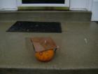 The Bradbury Team from Coldwell Banker Heritage www.bradburyteam.com delivered pumpkins to every home in Hunters Crossing in Richland Township.  Here are some of the entries into the third annual Bradbury Team Pumpkin Decorating Contest