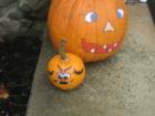 The Bradbury Team from Coldwell Banker Heritage www.bradburyteam.com delivered pumpkins to every home in Hunters Crossing in Richland Township.  Here are some of the entries into the third annual Bradbury Team Pumpkin Decorating Contest