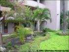 Lauloa Maalaea, Maui Hawaii <a href="http://www.garybland.com">http://www.garybland.com</a>
      
      <a href=" http://www.realestatemaui.us">Visit my Maui Real Estate weblog.</a>
      