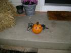 The Bradbury Team from Coldwell Banker Heritage www.bradburyteam.com delivered pumpkins to every home in Spring Meadow Estates in Richland Township.  Here are some of the entries into the third annual Bradbury Team Pumpkin Decorating Contest