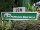 Maalaea Banyans , Maui Hawaii <a href="http://www.garybland.com">http://www.garybland.com</a>
      
      <a href=" http://www.realestatemaui.us">Visit my Maui Real Estate weblog.</a>
      