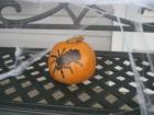The Bradbury Team from Coldwell Banker Heritage www.bradburyteam.com delivered pumpkins to every home in Spring Meadow Estates in Richland Township.  Here are some of the entries into the third annual Bradbury Team Pumpkin Decorating Contest