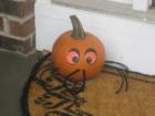 The Bradbury Team from Coldwell Banker Heritage www.bradburyteam.com delivered pumpkins to every home in Spring Meadow Estates in Richland Township.  Here are some of the entries into the third annual Bradbury Team Pumpkin Decorating Contest