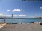 Maalaea Mermaid , Maui Hawaii <a href="http://www.garybland.com">http://www.garybland.com</a>
      
      <a href=" http://www.realestatemaui.us">Visit my Maui Real Estate weblog.</a>
      
