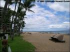 Kaanapali Alii, Maui Hawaii <a href="http://www.garybland.com">http://www.garybland.com</a>
      
      <a href=" http://www.realestatemaui.us">Visit my Maui Real Estate weblog.</a>
      