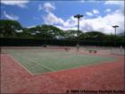 Kaanapali Alii, Maui Hawaii <a href="http://www.garybland.com">http://www.garybland.com</a>
      
      <a href=" http://www.realestatemaui.us">Visit my Maui Real Estate weblog.</a>
      
