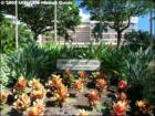 Hale Kaanapali, Maui Hawaii <a href="http://www.garybland.com">http://www.garybland.com</a>
      
      <a href=" http://www.realestatemaui.us">Visit my Maui Real Estate weblog.</a>
      