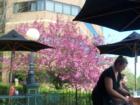 Outside my office at RE/MAX on a Gorgeous day in Ann Arbor.