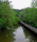 Huron River in Ann Arbor