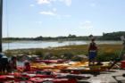 Kayaks ready on Hardy's Creek