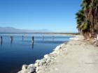 Salton City, Salton Sea - North Shore 
      