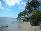 Kahala beach area