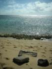 Kahala beach area afternoon