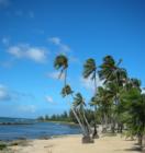 Haleiwa area