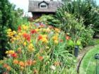 Kula home for sale, with nicely landscaped flower gardens.