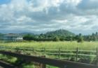 Haiku Hill as viewed from the Hana Highway - drive by shooting.