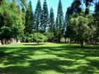 lush landscaping in Haiku - 2 acres with house and cottage for sale on Maui
