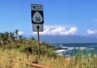 hana highway on the north shore of maui, hiway 36 with views of the waves in front of Mama's Fish House