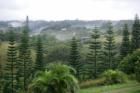 misty haiku maui morning in honokala district - say that 5 times