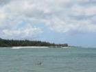 Turtle Bay Area, North of Haleiwa 
