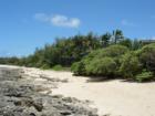 Turtle Bay Area, North of Haleiwa 