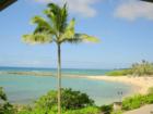 Turtle Bay Area, North of Haleiwa 