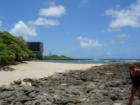 Turtle Bay Area, North of Haleiwa 