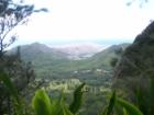 Ar119499162111307_l