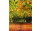 Fall in the Chelsea countryside.