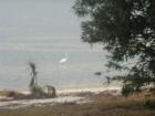 East Bay, Panama City, FL
