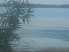 East Bay, Panama City, FL