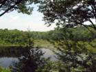 Langsford Pond in Annisquam