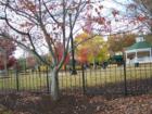 Take a day to relax and enjoy the City of Woodstock shoppes, restaurants and parks! It's a beautiful place!