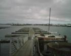 A lonely seagul in Crescent City harbor during a storm