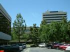 Another downtown view.