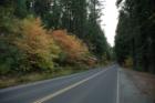 Fall on Scenic Highway 4 near Arnold CA