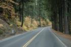 Scenic Highway 4, Fall 2007 near Arnold California