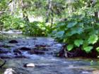 Clover Creek, Oak Run, CA