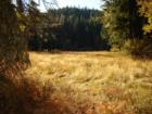 Wildwood, Trinity County